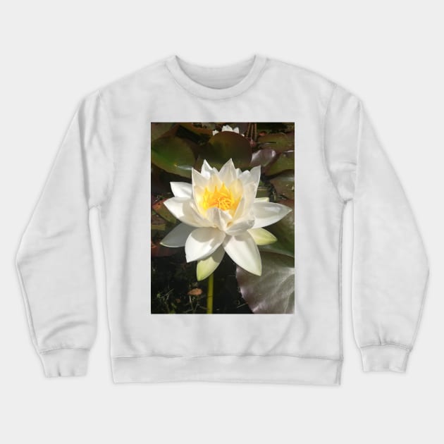 Single white waterlily photograph Crewneck Sweatshirt by esvb